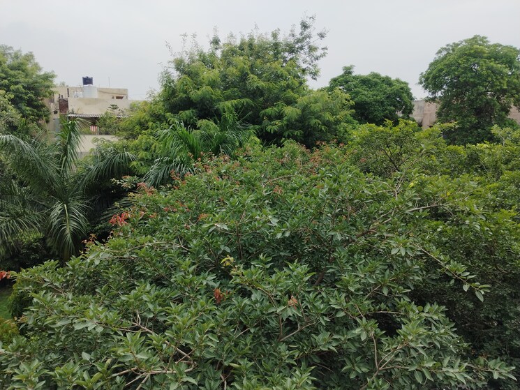 Garden, sarita vihar 3 Bedroom 1950 Sq.Ft. Apartment In Sarita Vihar Delhi 9553150