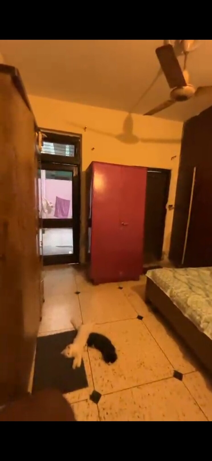 undefined, espire-towers 3 Bedroom 180 Sq.Yd. Independent House In Sector 37 Faridabad 9553252