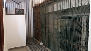 Balcony in 3 BHK Builder Floor at Sector 1 Vaishali – for Rent