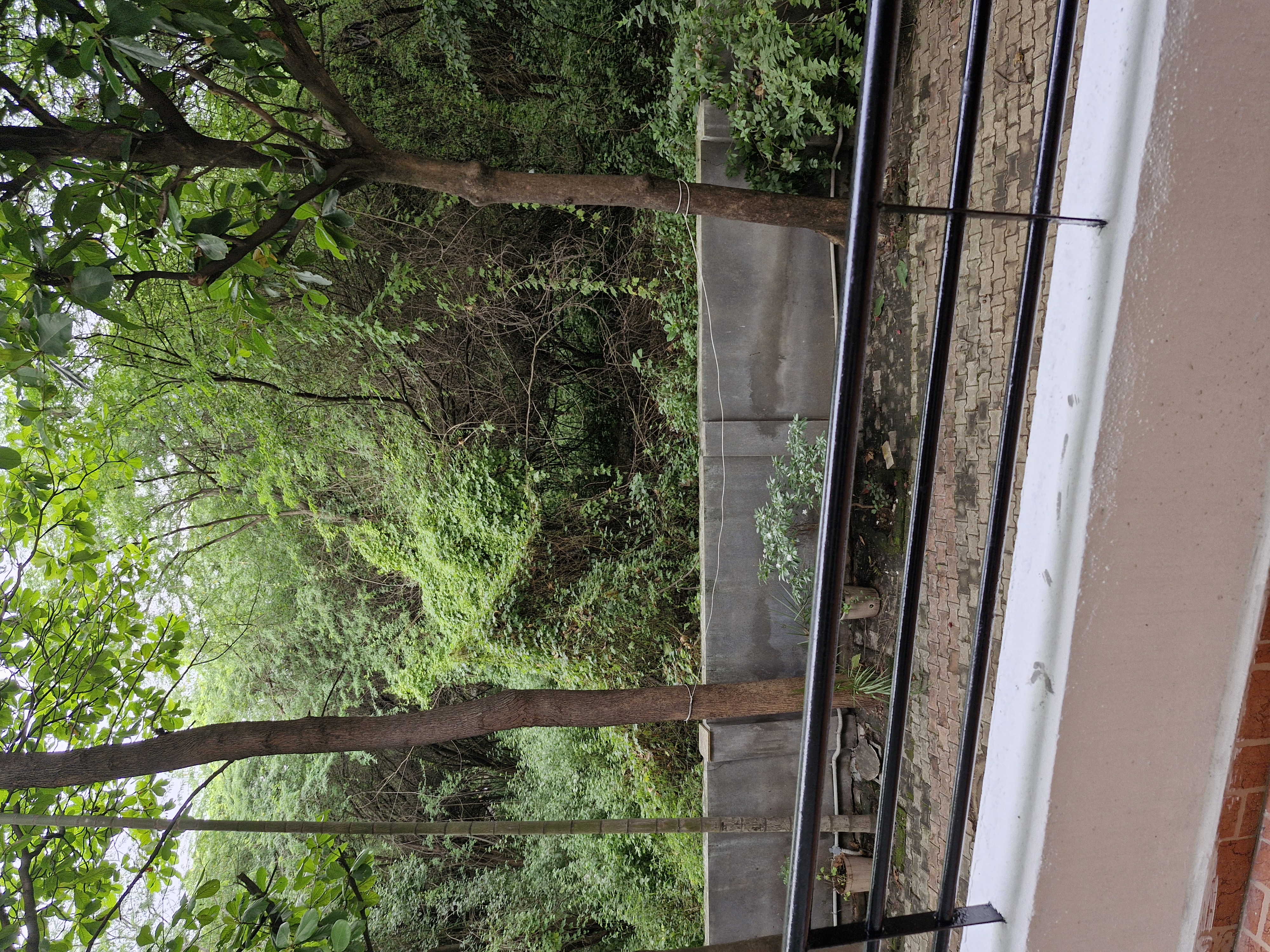 2 BHK Apartment For Rent in Vanashree Apartment