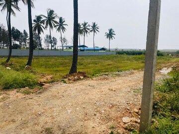 Plot Area in  Plot at Devanahalli – for Sale