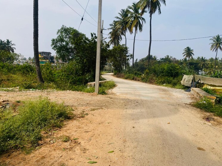 undefined, devanahalli  15780 Sq.Ft. Plot In Devanahalli Bangalore 9553451