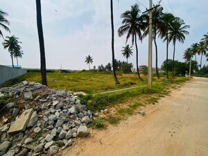 Plot Area in  Plot at Devanahalli – for Sale