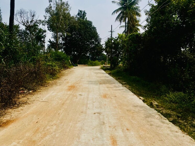 undefined, devanahalli  15780 Sq.Ft. Plot In Devanahalli Bangalore 9553451