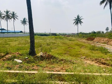 Plot Area in  Plot at Devanahalli – for Sale