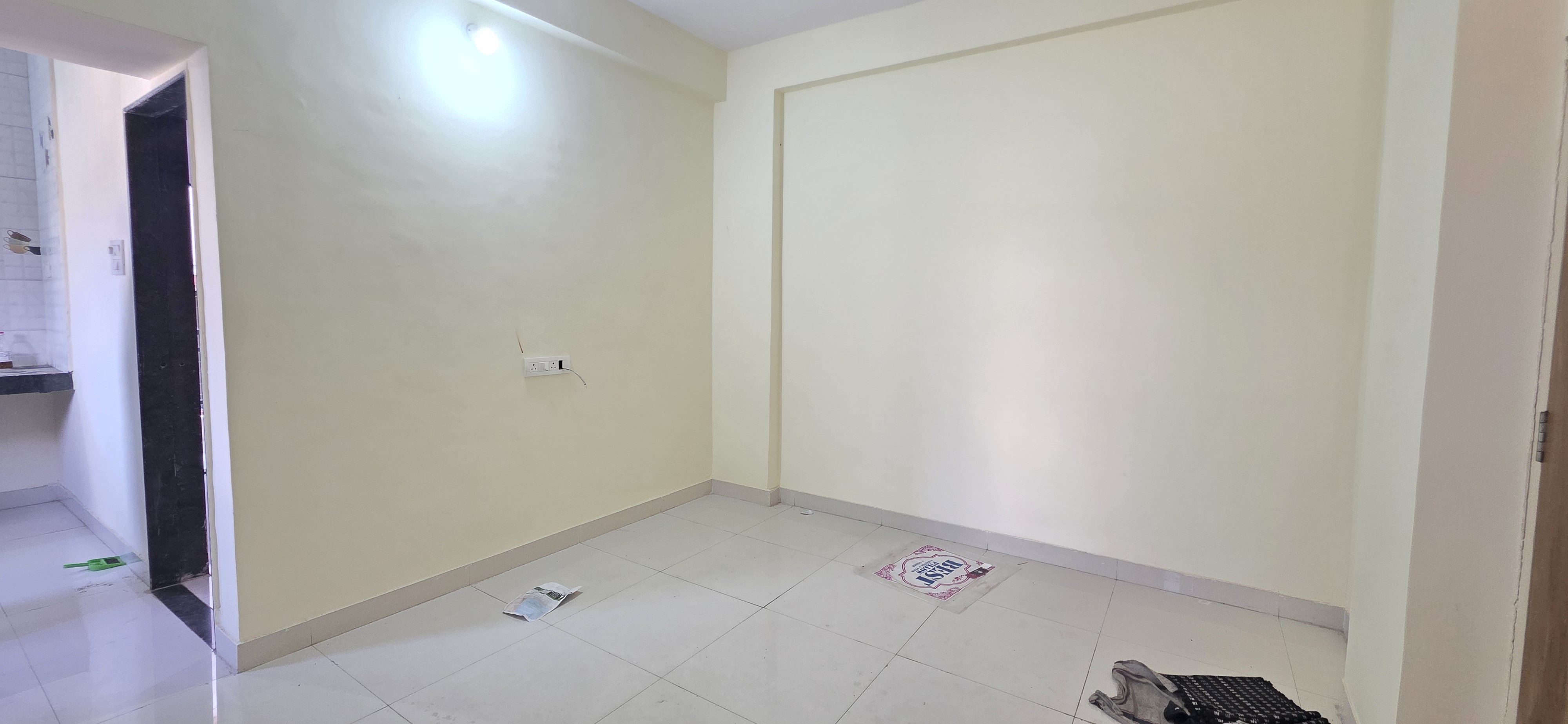 1 BHK Apartment For Rent in Kharadi