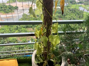 3 BHK Apartment – Garden View at Vastu Tower, Malad West - for Rent