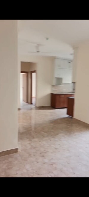 Room in 3 BHK Apartment at Amrapali Terrace Homes, Tech Zone 4 Greater Noida – for Rent