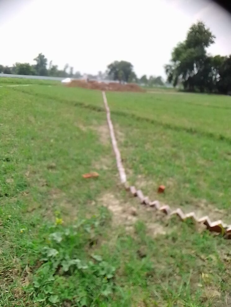 undefined, gosainganj  1250 Sq.Yd. Plot In Gosainganj Lucknow 9553678