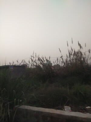  Plot – Garden View at Stellar Gymkhana, Knowledge Park Ii Greater Noida - for Sale