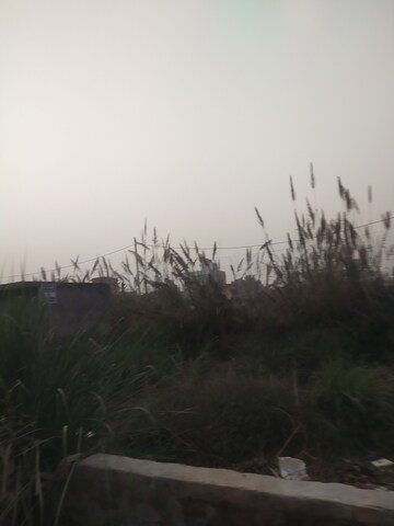  Plot – Garden View at Stellar Gymkhana, Knowledge Park Ii Greater Noida - for Sale