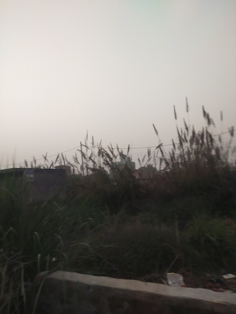 Garden, stellar-gymkhana  500 Sq.Yd. Plot In Knowledge Park Ii Greater Noida Greater Noida 9553672