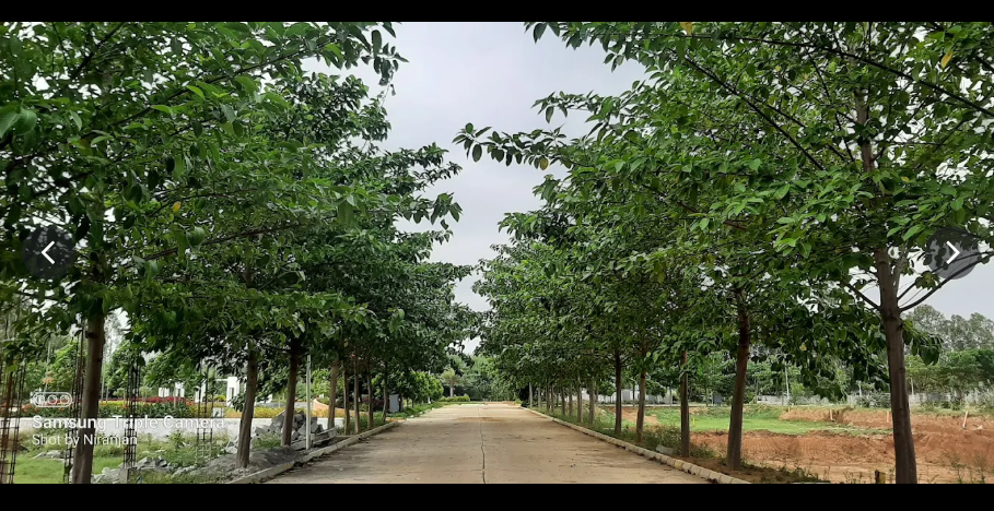 Plot For Sale in Celebrity Pride