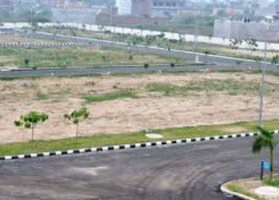 Plot For Sale in Dist 1 Bptp Sector 81