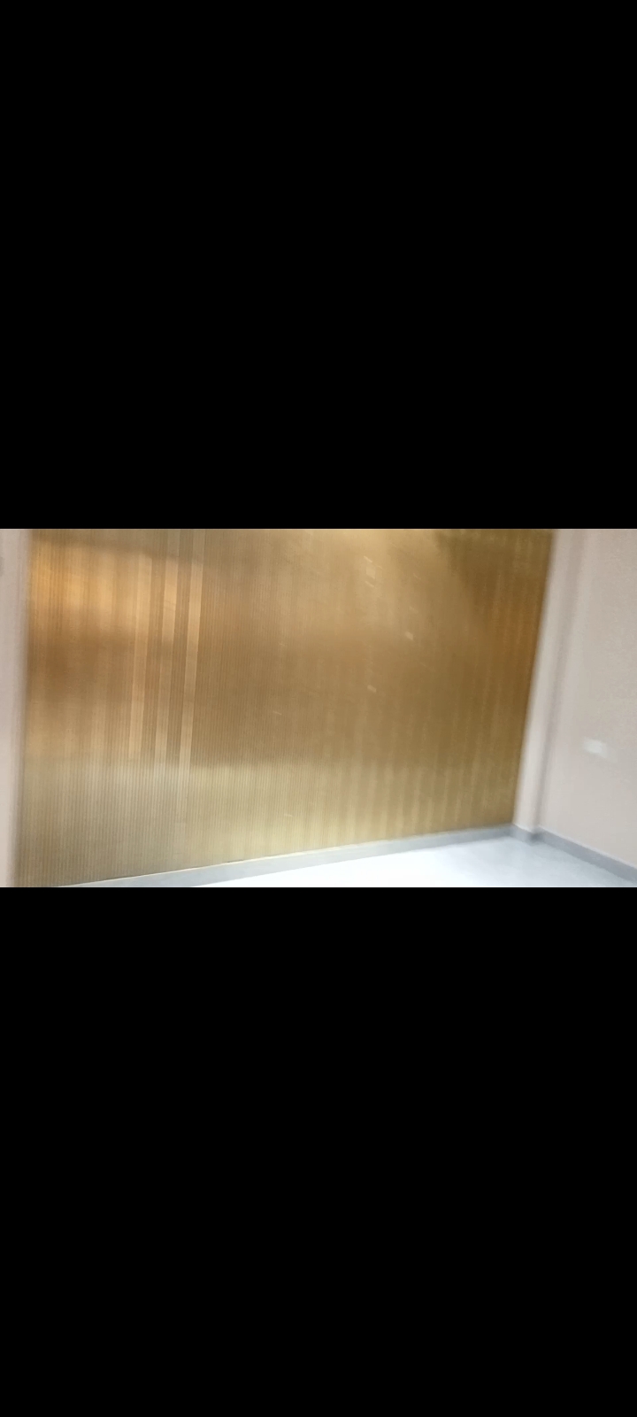 3 BHK Builder Floor For Rent in Sanju Property 