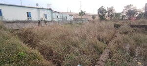 Plot Area in  Plot at Tamando – for Sale