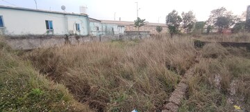 Plot Area in  Plot at Tamando – for Sale