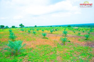  Land – Garden View at Sangareddy - for Sale