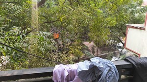 Balcony in 2.5 BHK Builder Floor at Krishna Apartments Adchini, Adchini – for Sale