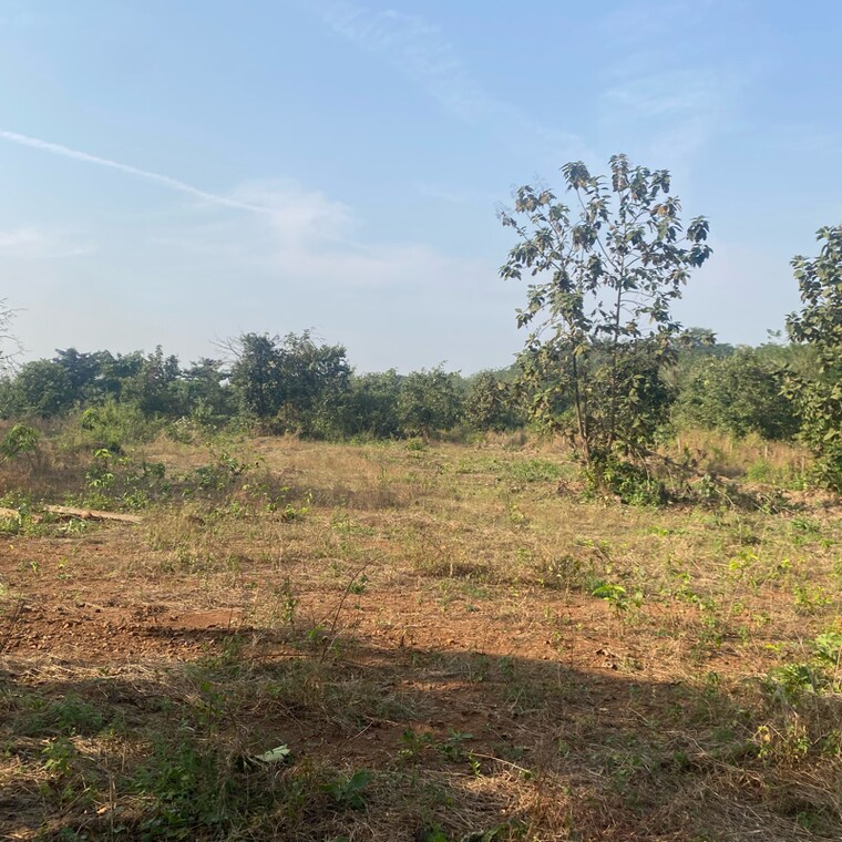 undefined, karjat  29407 Sq.Yd. Plot In Karjat Navi Mumbai 9554351