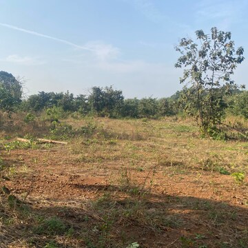 Plot Area in  Plot at Karjat – for Sale