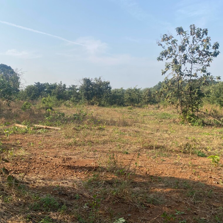 undefined, karjat  29407 Sq.Yd. Plot In Karjat Navi Mumbai 9554351