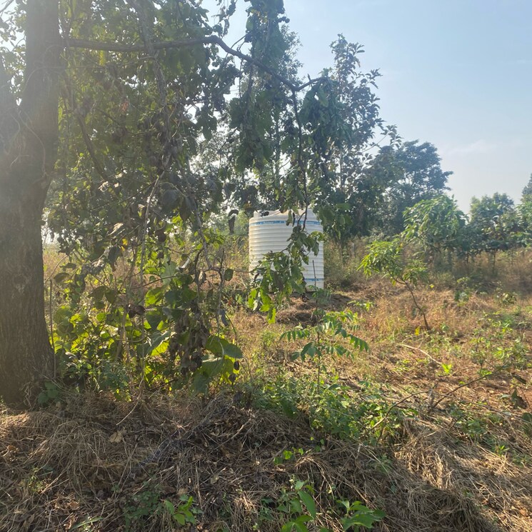 undefined, karjat  29407 Sq.Yd. Plot In Karjat Navi Mumbai 9554351