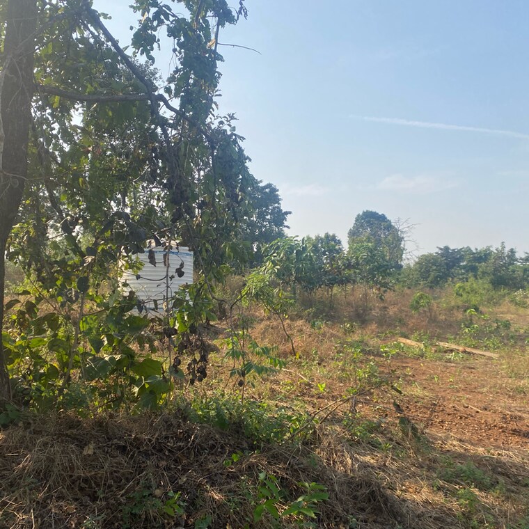 undefined, karjat  29407 Sq.Yd. Plot In Karjat Navi Mumbai 9554351