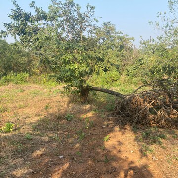 Plot Area in  Plot at Karjat – for Sale