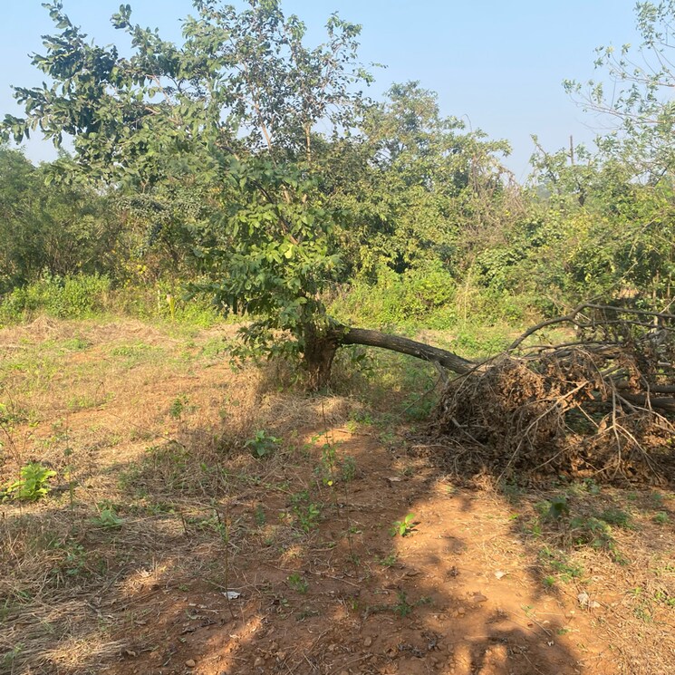 undefined, karjat  29407 Sq.Yd. Plot In Karjat Navi Mumbai 9554351