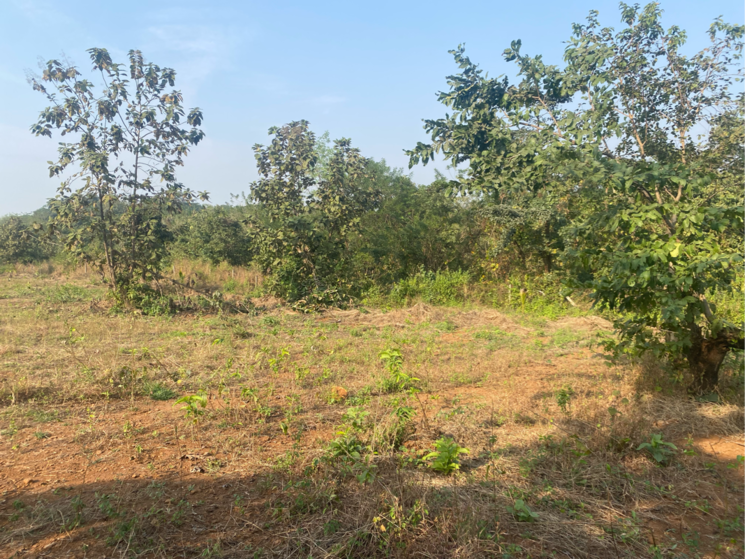 undefined, karjat  29407 Sq.Yd. Plot In Karjat Navi Mumbai 9554351
