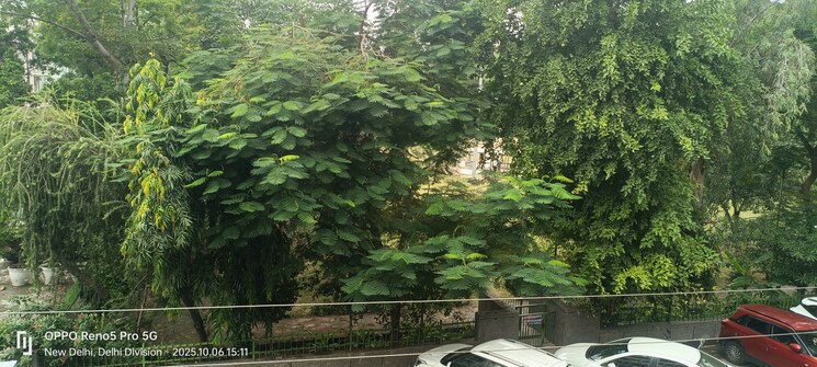 Garden, janakpuri 4 Bedroom 2025 Sq.Ft. Builder Floor In Janakpuri Delhi 9554381