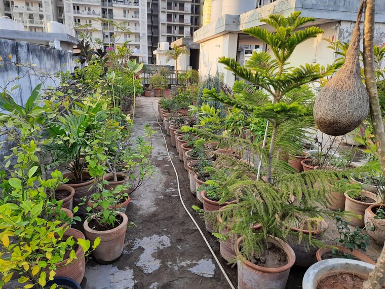 Balcony, motia-blue-ridge 3 Bedroom 1200 Sq.Ft. Builder Floor In Dhakoli Zirakpur 9554579