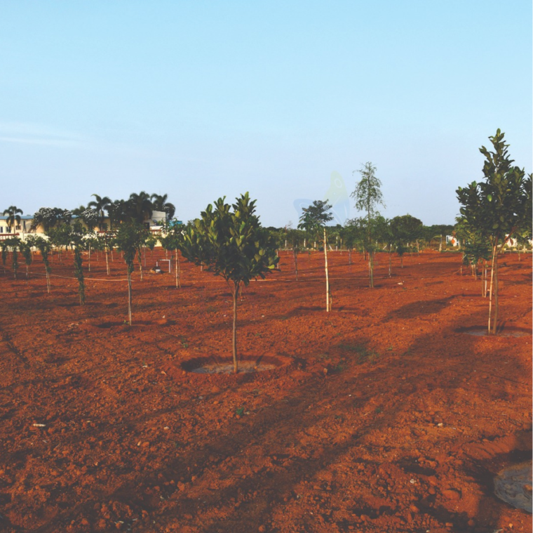 undefined, fortune-18  186 Sq.Yd. Plot In Amangal Hyderabad 9554602