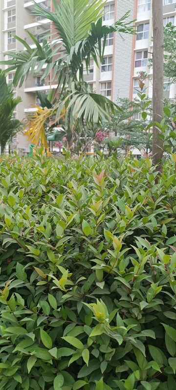 3 BHK Apartment – Garden View at Pride Purple Park Astra, Hinjewadi - for Sale