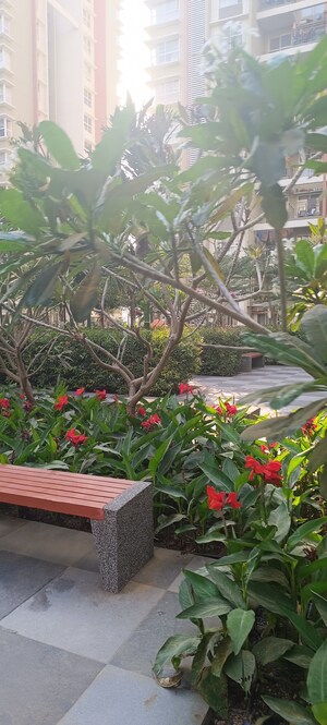 3 BHK Apartment – Garden View at Pride Purple Park Astra, Hinjewadi - for Sale