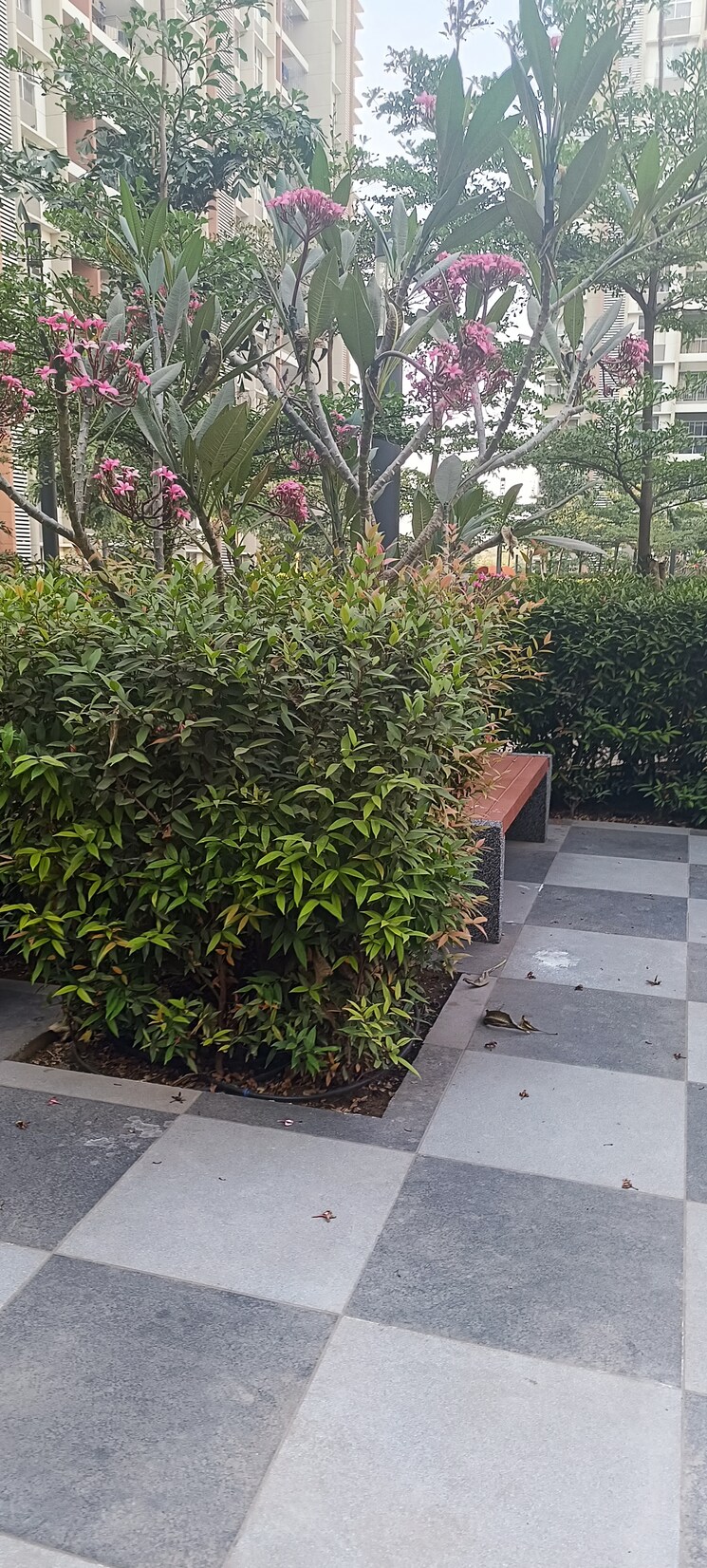 Balcony, pride-purple-park-astra 3 Bedroom 900 Sq.Ft. Apartment In Hinjewadi Pune 9554627