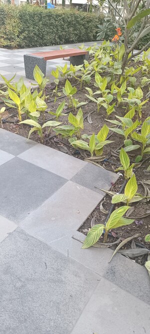 Balcony in 3 BHK Apartment at Pride Purple Park Astra, Hinjewadi – for Sale