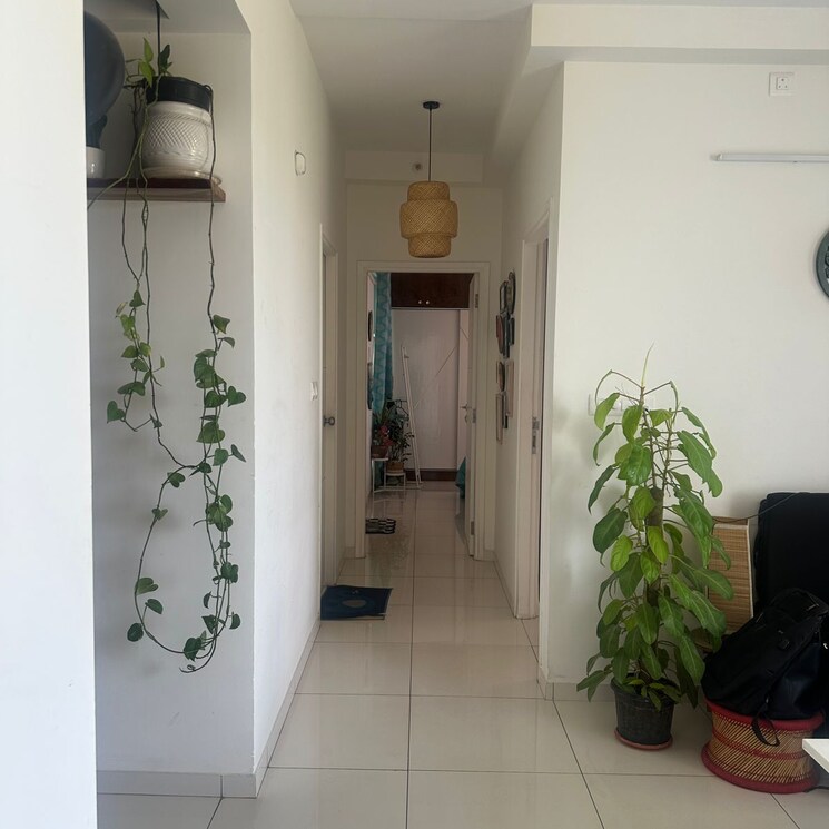 undefined, godrej-nurture-electronic-city 2 Bedroom 991 Sq.Ft. Apartment In Shikaripalya Bangalore 9554631