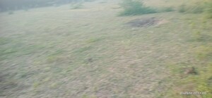  Industrial Plot – Garden View at Manjusar - for Sale