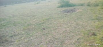  Industrial Plot – Garden View at Manjusar - for Sale