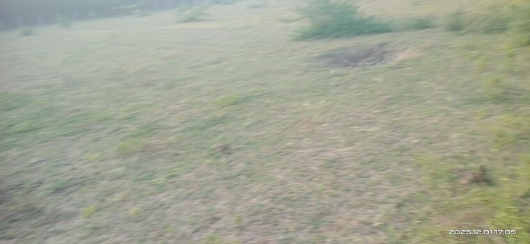 Garden, manjusar Commercial Industrial Plot 80000 Sq.Ft. In Manjusar Vadodara 9554695