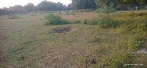  Industrial Plot For Sale in Manjusar