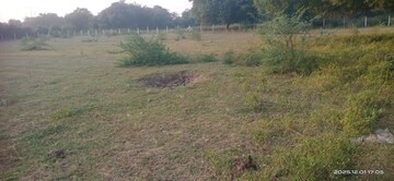  Industrial Plot For Sale in Manjusar