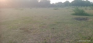 Plot Area in  Industrial Plot at Manjusar – for Sale