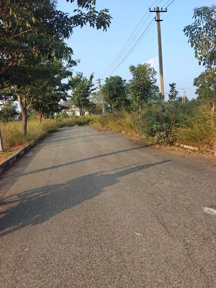 Garden, chandapura  1200 Sq.Yd. Plot In Chandapura Bangalore 9554819