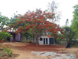  Plot – Exterior View View at Kelamangalam rd - for Sale