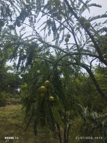  Plot – Exterior View View at Kelamangalam rd - for Sale