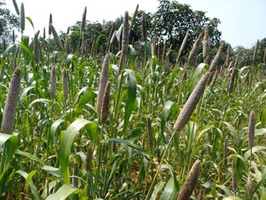  Plot – Exterior View View at Kelamangalam rd - for Sale