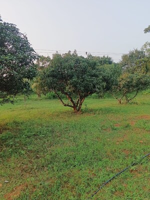  Plot – Exterior View View at Kelamangalam rd - for Sale